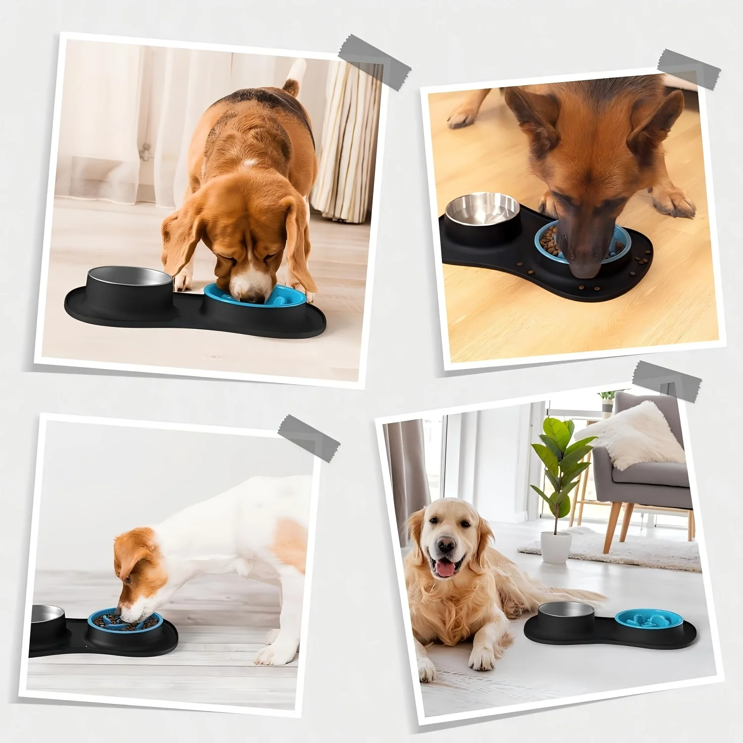 Set de comederos portátiles de acero inoxidable para perro - imagen 2