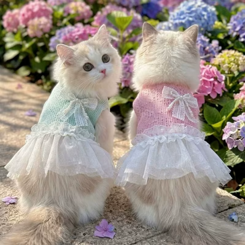Vestido calado para mascota en color verde con detalles de encaje