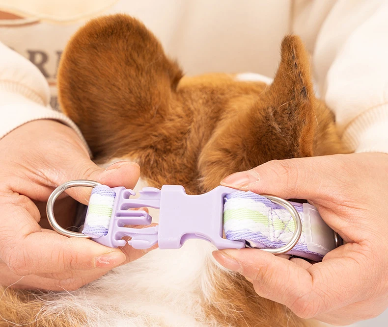 Collar a rayas resistente para perros activos