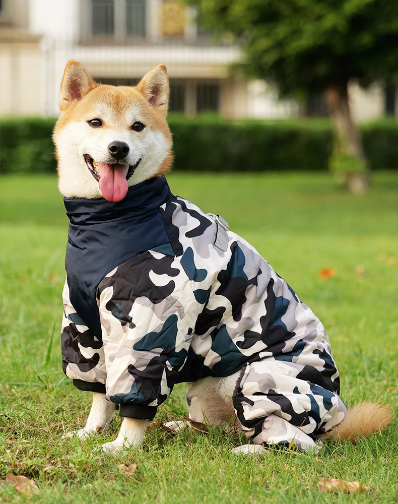 Chaqueta impermeable puesta en un cachorro jugando en un parque mojado