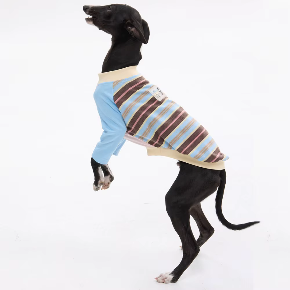 Camiseta algodón para Whippet y Galgo Italiano – Rayas primavera-verano - imagen 3