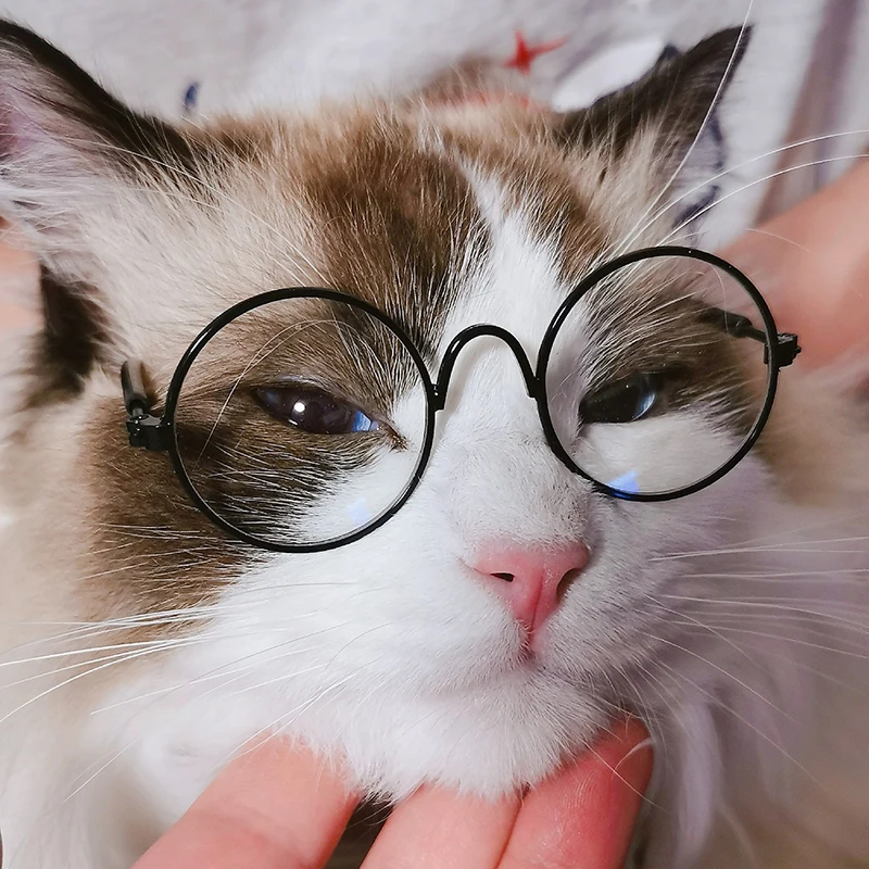 Gafas de sol redondas Vintage para gato modelo plata