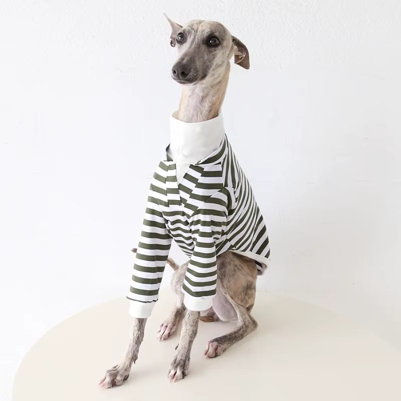 Mono a rayas para perro: Galgo y Whippet – ropa cómoda - imagen 3