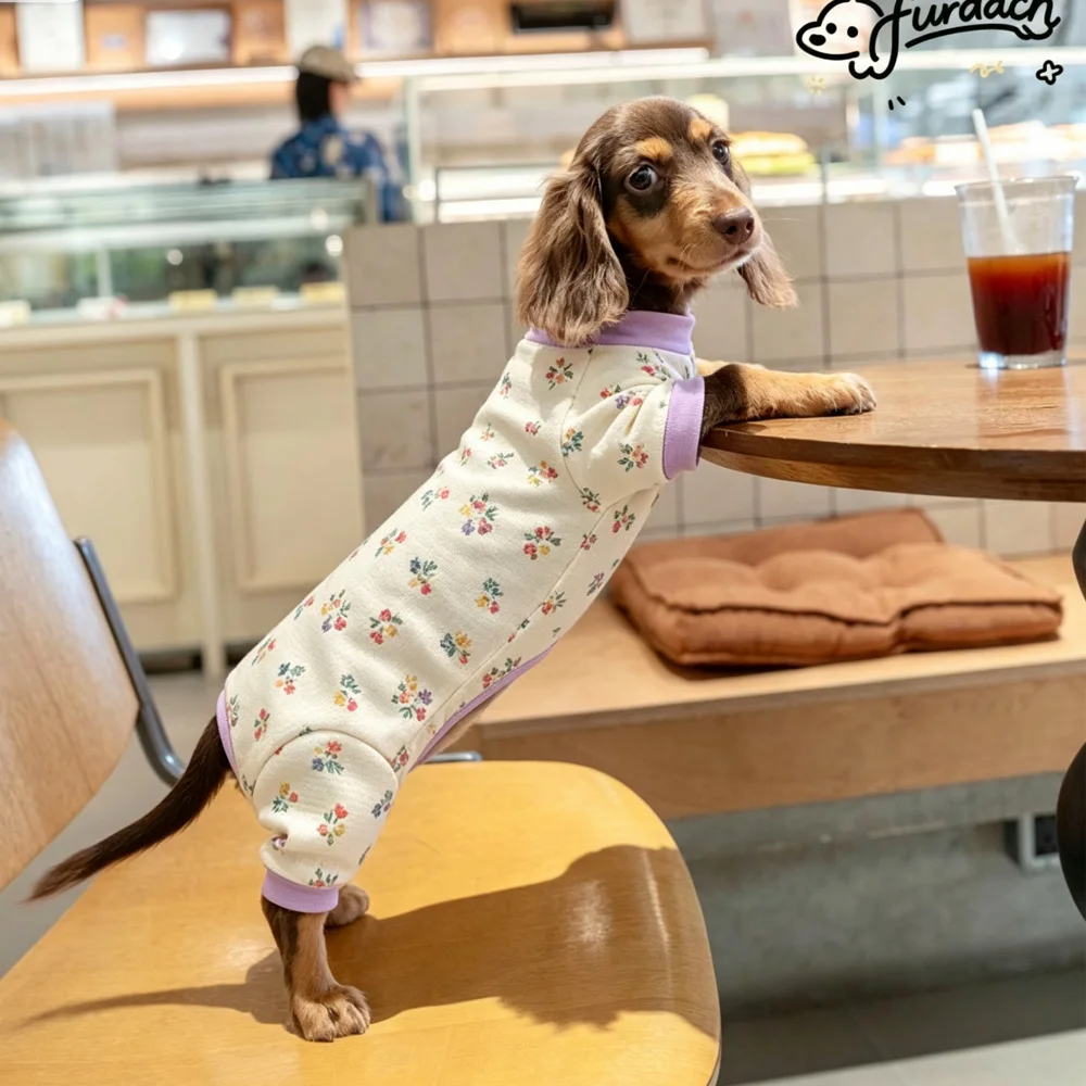 Sudadera suave de algodón para Dachshund miniatura – mono cuatro patas - imagen 5
