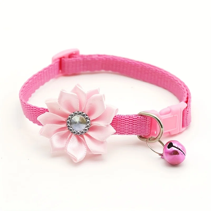Collar puesto en gato