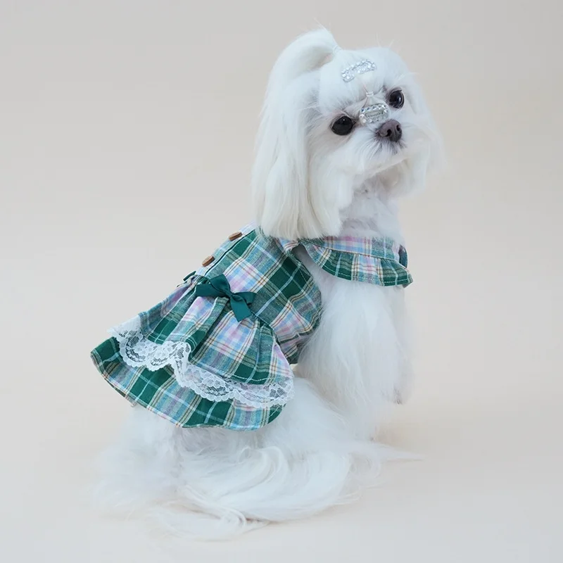 Perro usando el vestido a cuadros