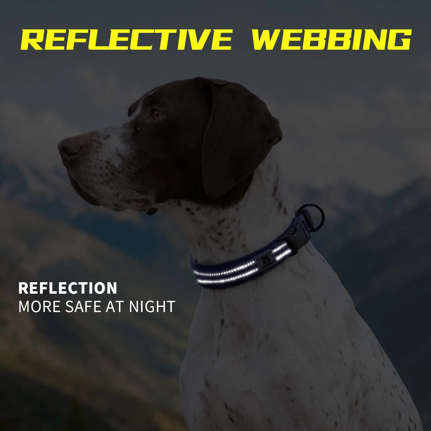 Collar acolchado ajustable reflectante de malla para perros, Dachshund - imagen 3