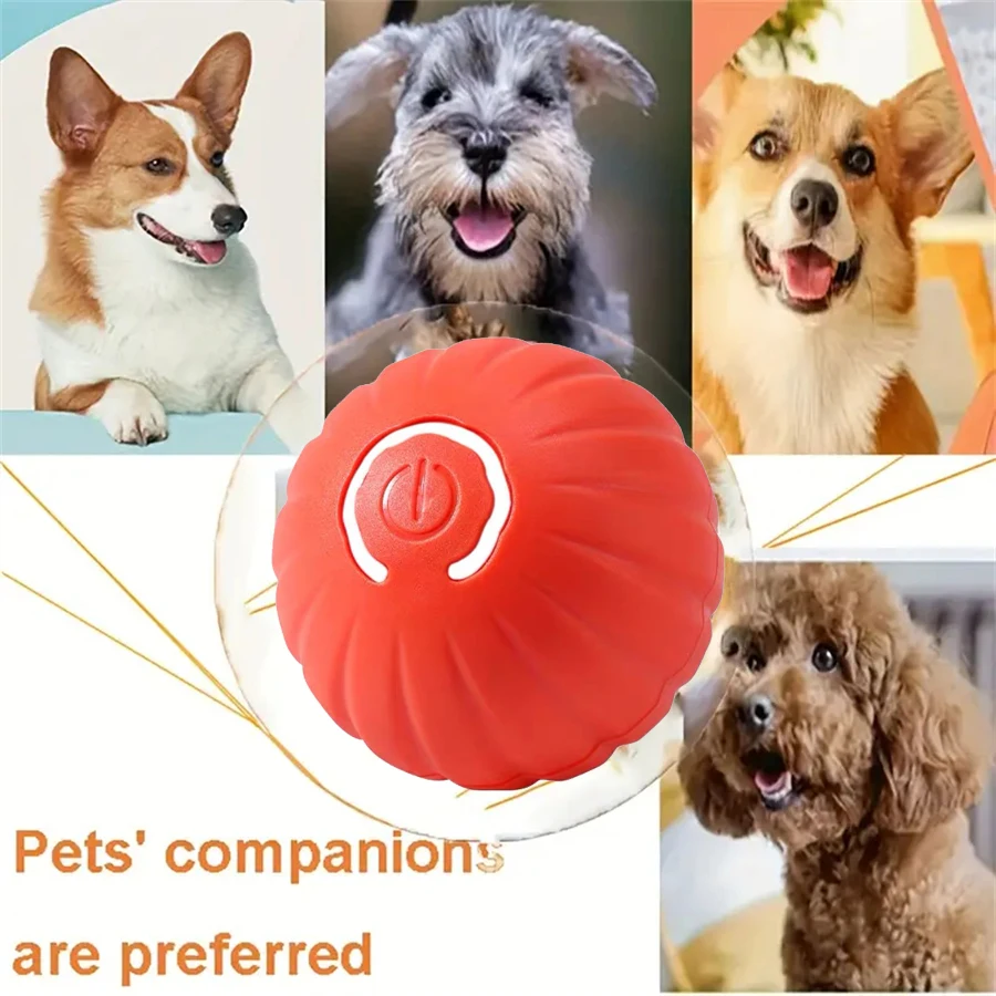 Contenido del paquete PetTumbly