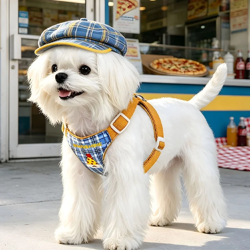 Arnés a cuadros para perro y gato – Ajustable y suave - imagen 4