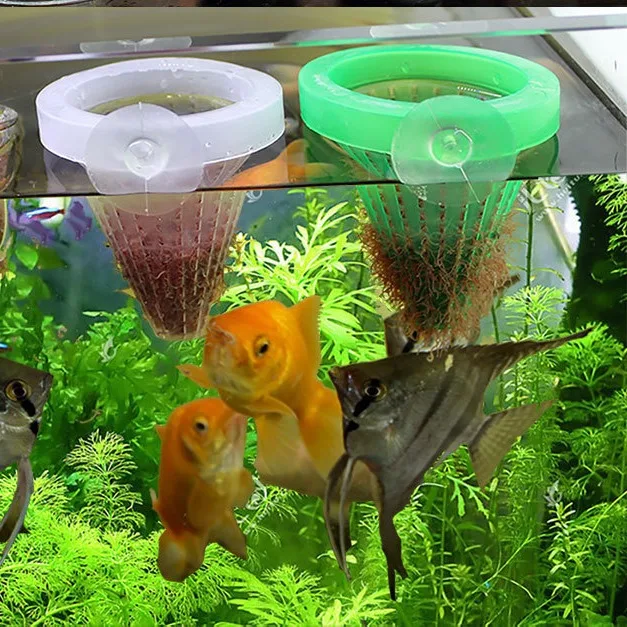 Ventosa para fijar el comedero en la pared del acuario