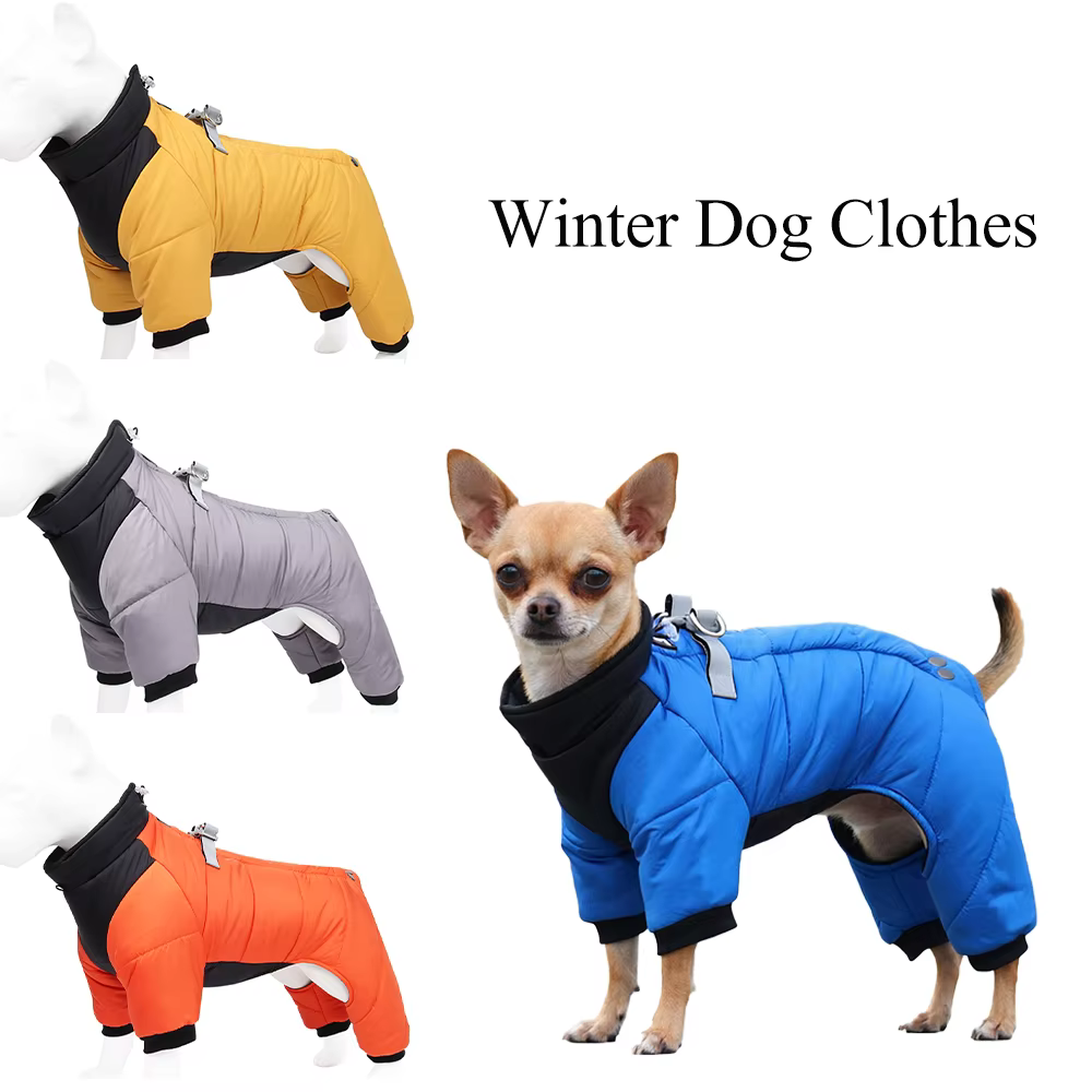 Impermeable para perros pequeños con anillo D reflectante - imagen 4