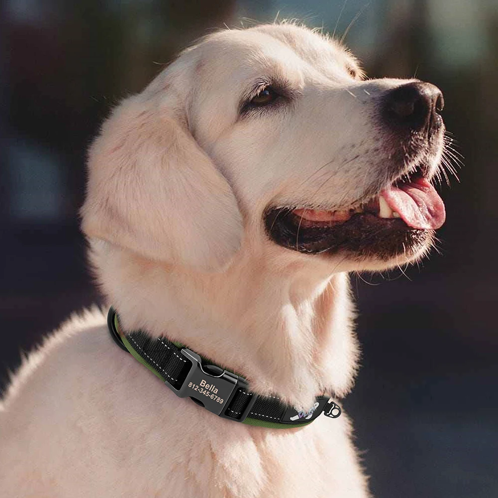 Collar en diferentes tamaños
