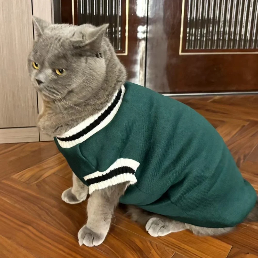 Abrigo para gatitos al aire libre
