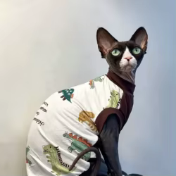 Chaleco de algodón para gatos Sphynx sin pelo, dinosaurios