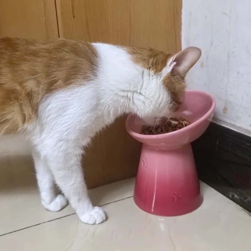 Cuenco cerámica elevado para gatos y perros – Base ajustable antideslizante - imagen 2