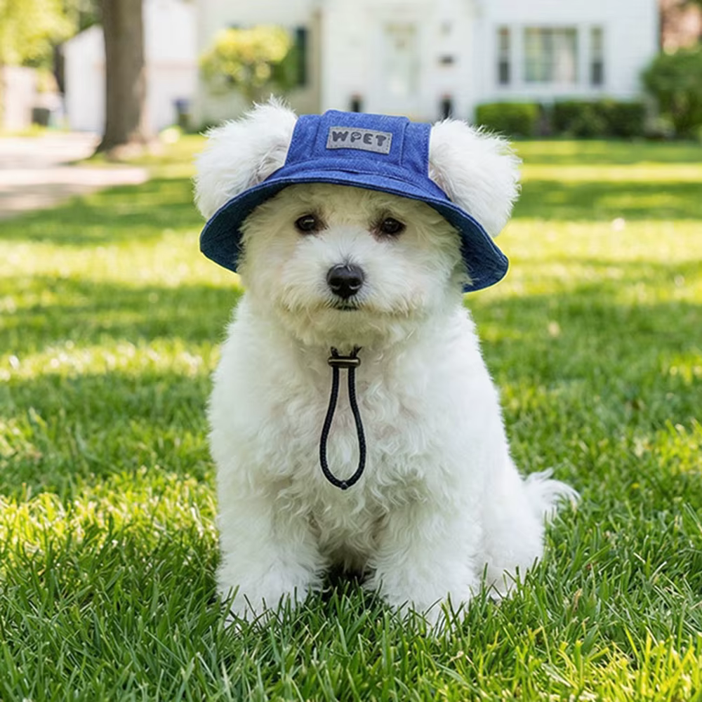 Gorra de sol de mezclilla ajustable para perros pequeños y medianos
