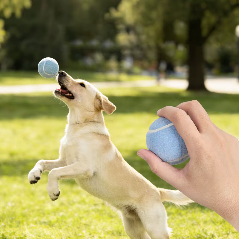Pelota de goma y fieltro resistente para perros - imagen 2