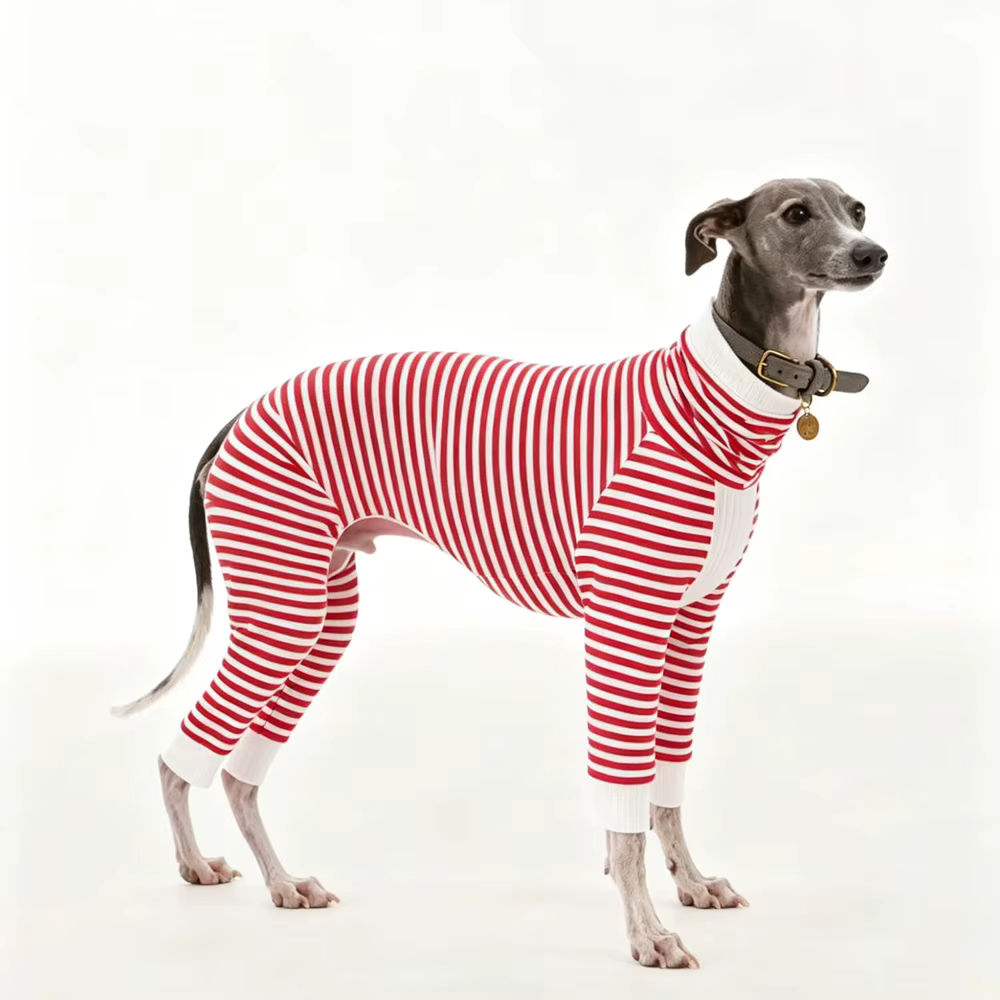 Sudadera a rayas para galgo y whippet cuello alto - imagen 2