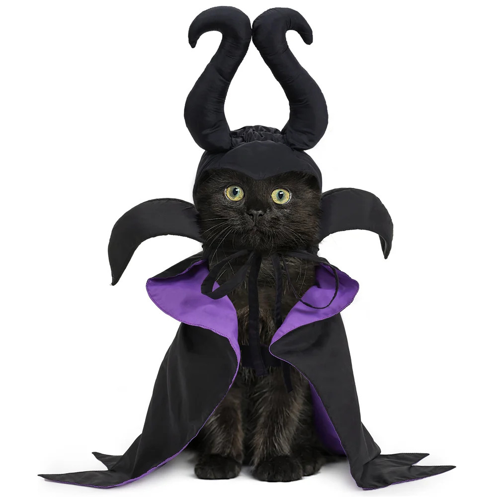 Masposa gatito con el disfraz