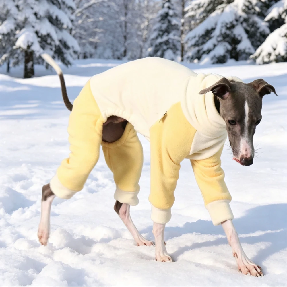 Abrigo suéter polar cálido para perros: galgo italiano, whippet y saluki - imagen 2