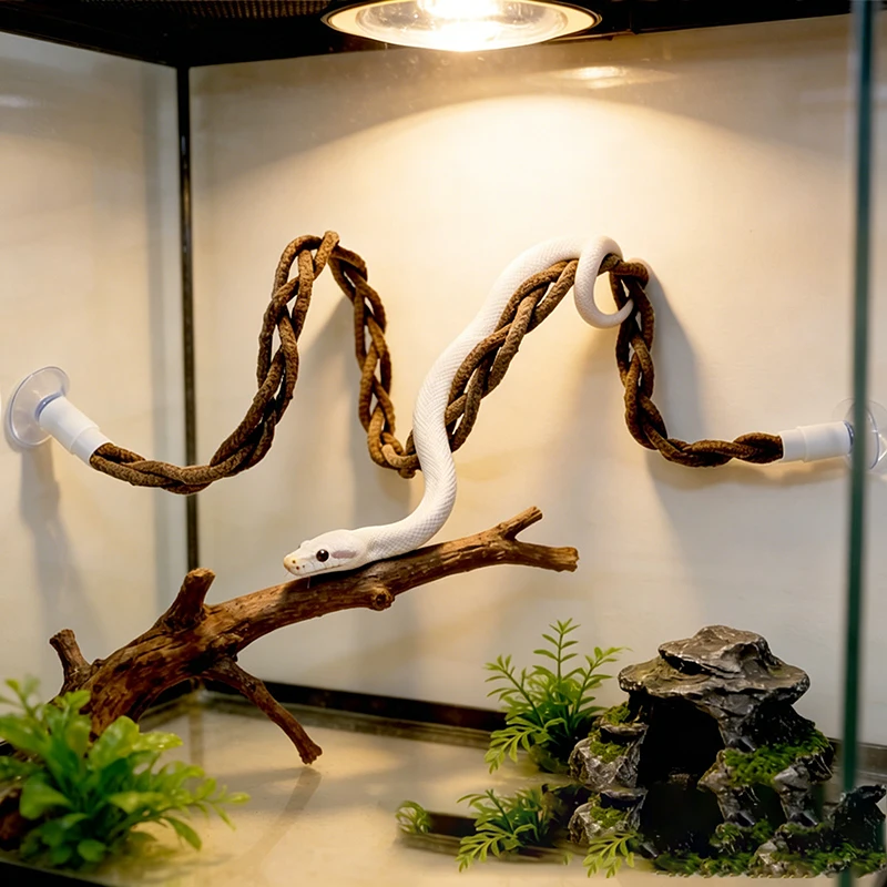 Juguete colgante para reptiles con ventosa y cuerda enredadera - imagen 4