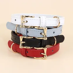 Collar perro cuero genuino antipull para perros pequeños hecho a mano