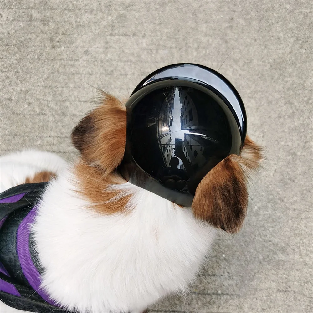 Detalle del casco en diferentes tamaños para perros