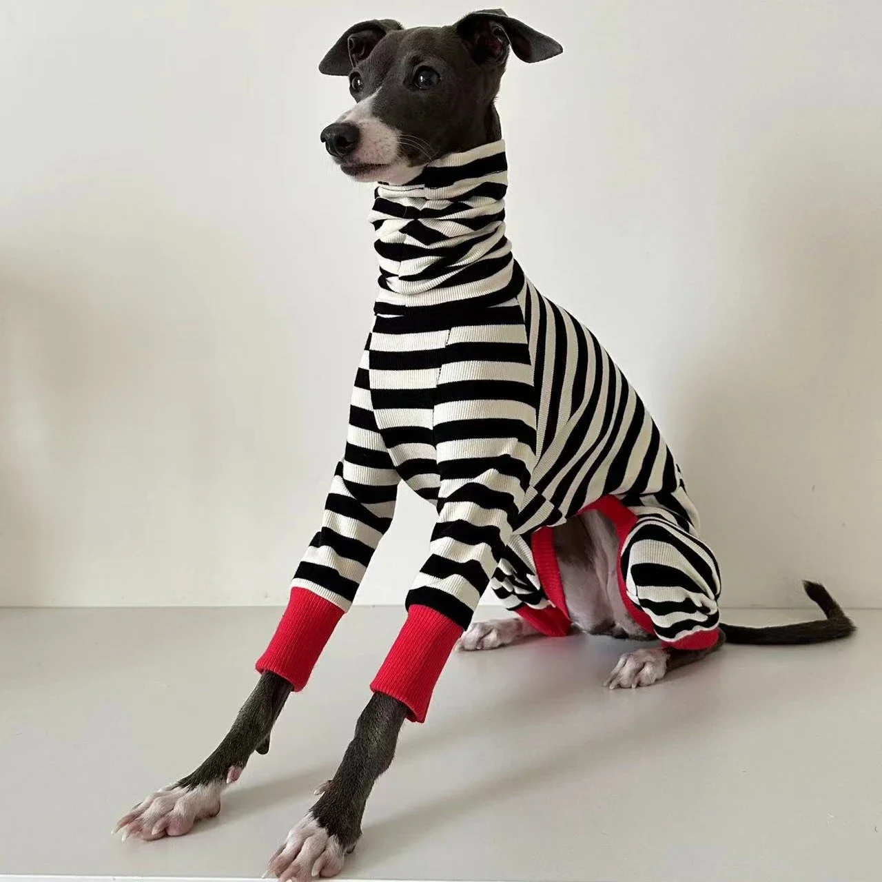 Size comparison chart for dog coat