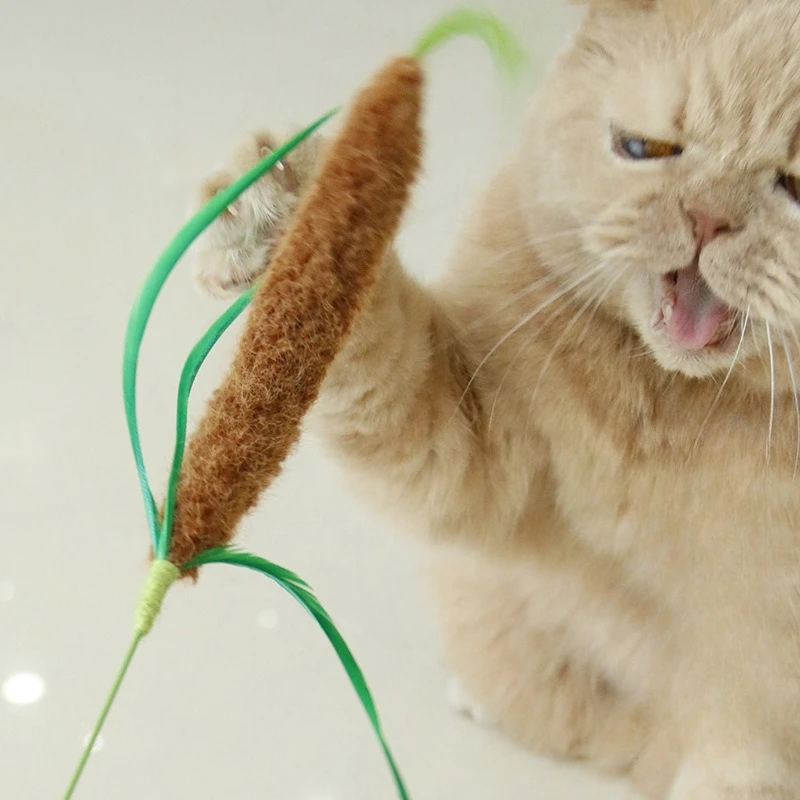 Juguete para gatos con varita, campana chirriante y mordida resistente - imagen 4