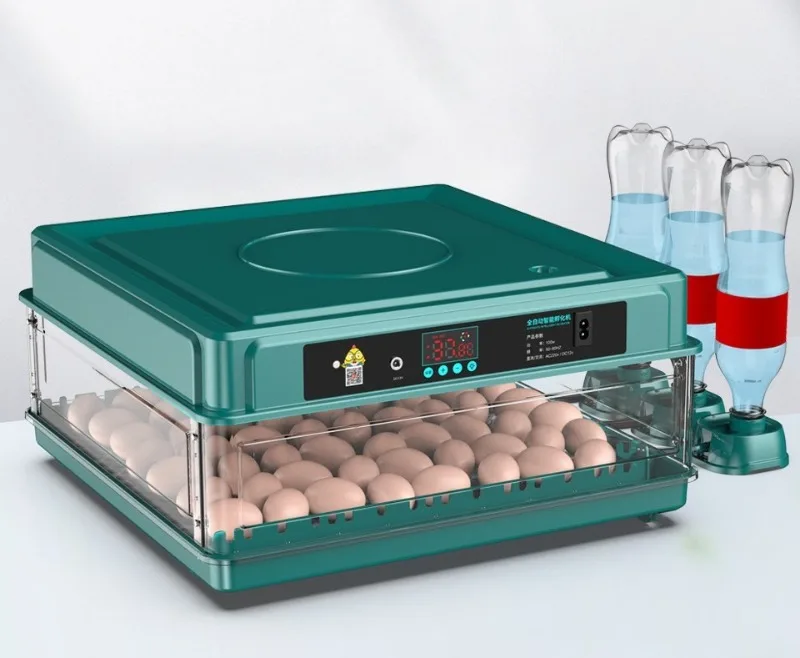 Placa de huevo ajustable en detalle