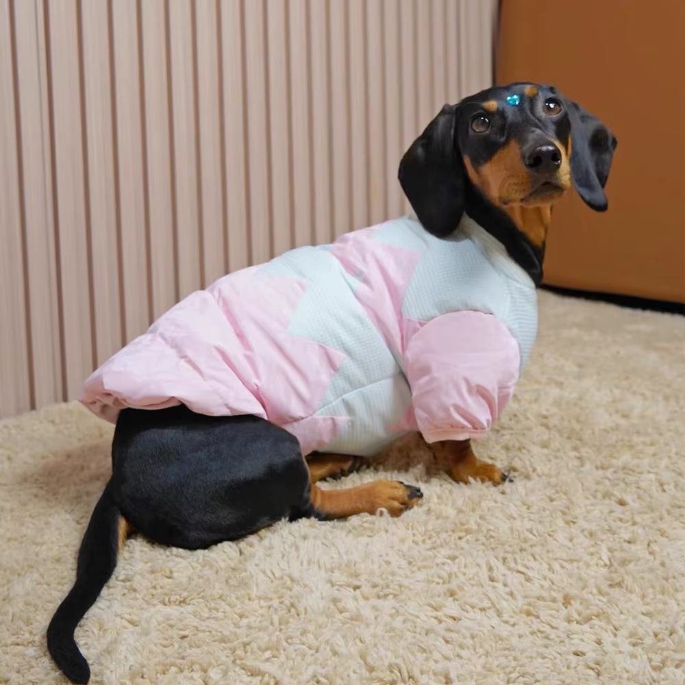 Chaqueta impermeable cálida para perros salchicha (wiener)