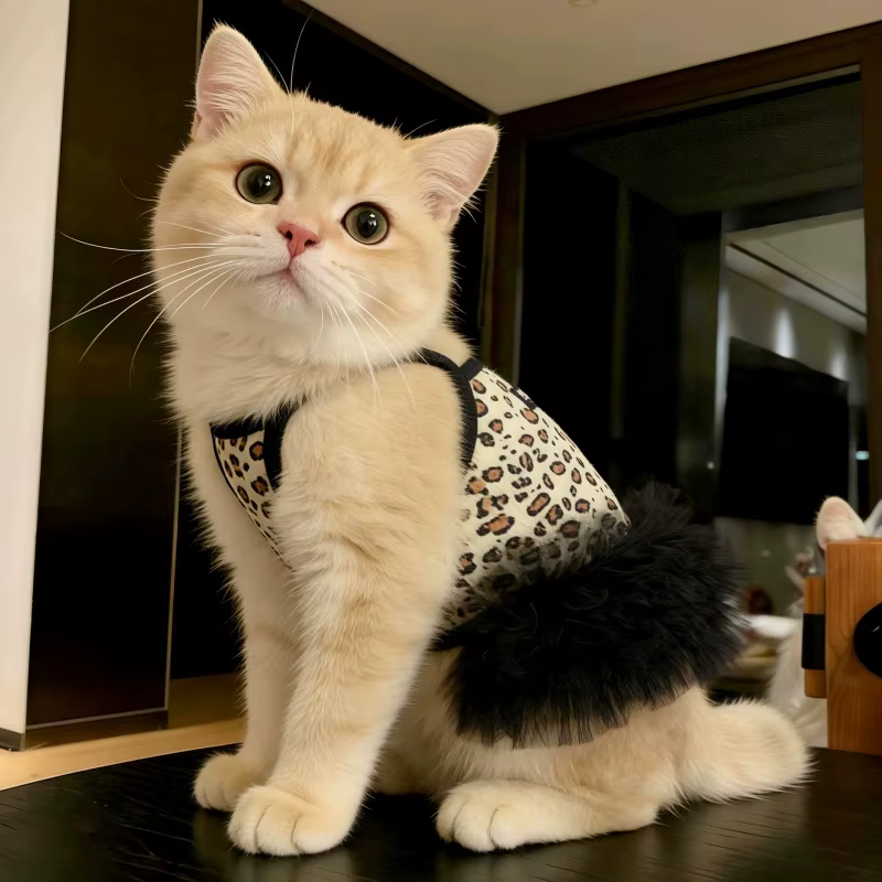 Vestido tutú de leopardo para poodles, chihuahuas y gatos - imagen 5