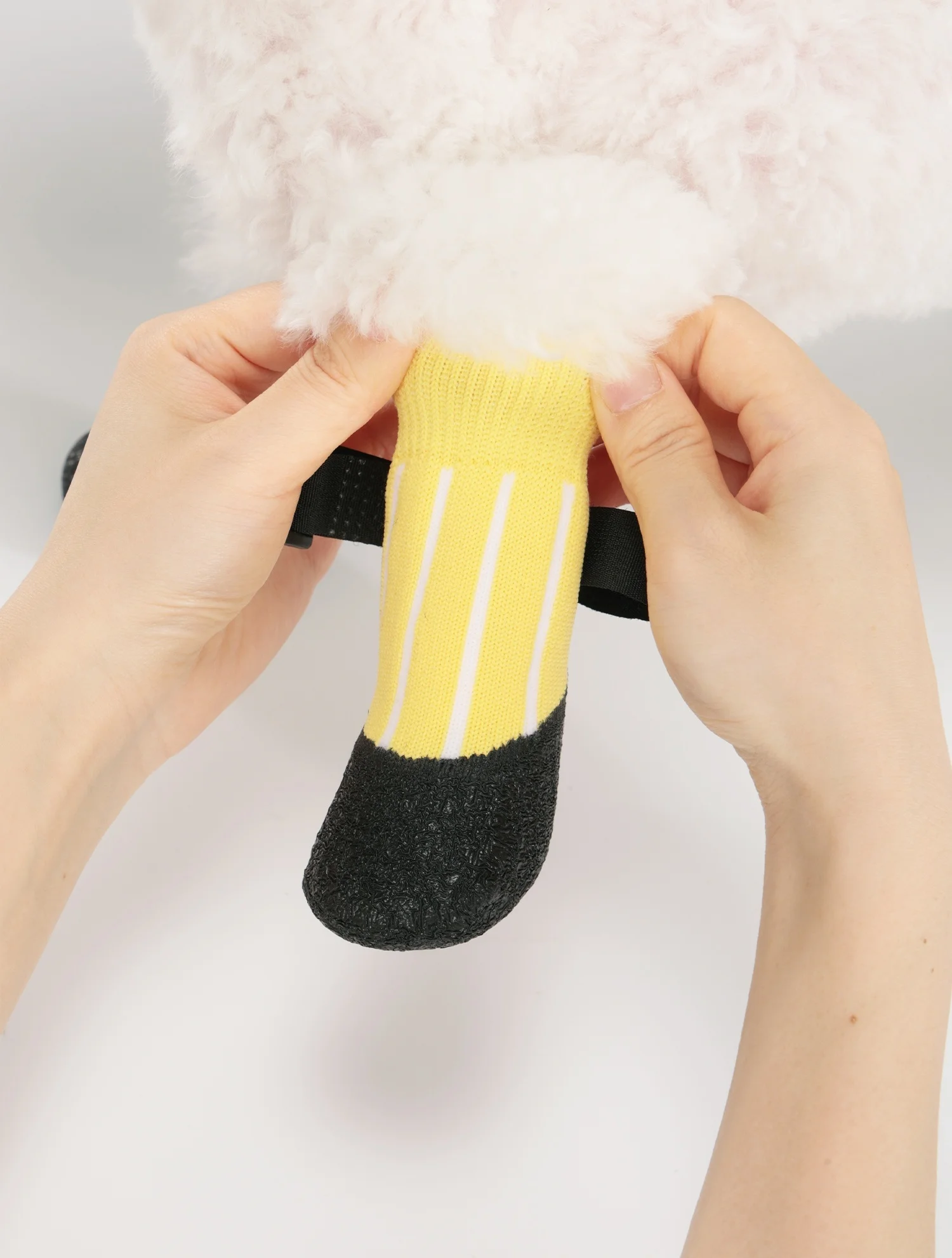 Perro usando los zapatos en hierba