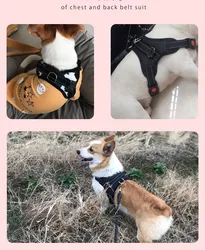 Arnés tipo chaleco resistente para Golden y Chihuahua, ideal perros