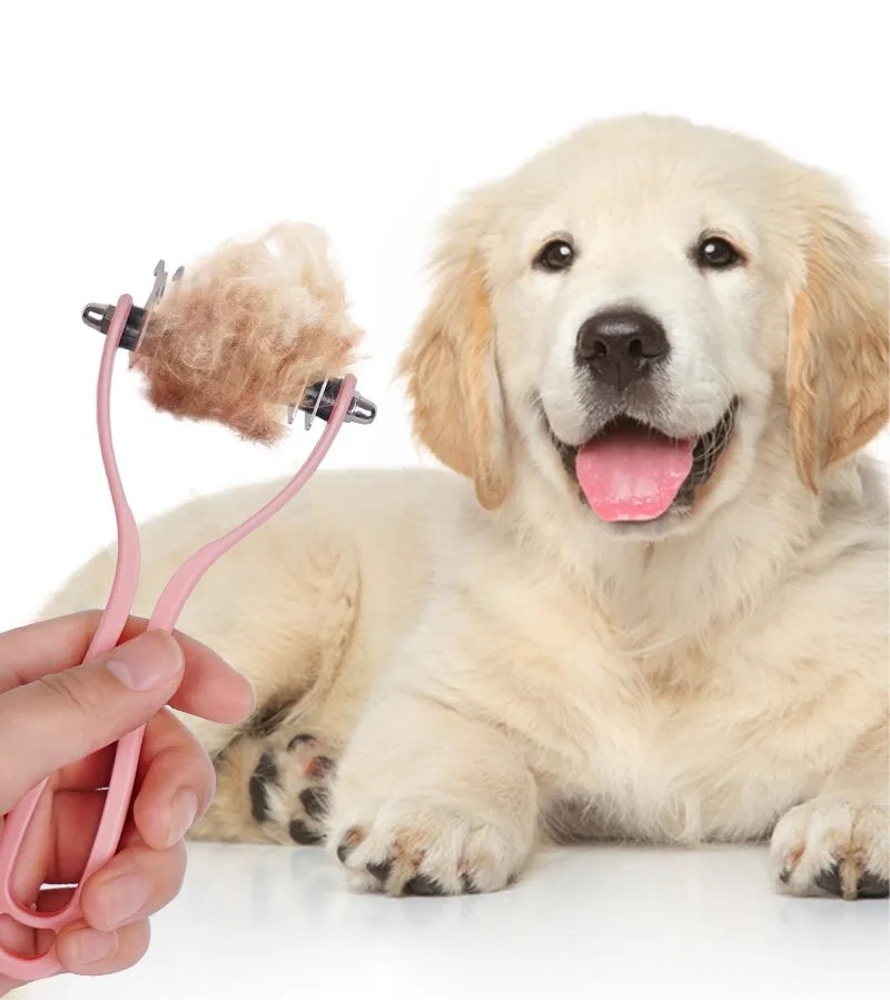 Uso práctico del cepillo removedor de pelo en perro