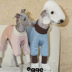 Camiseta refrescante Ice-Skin a rayas para galgos italianos y Whippet