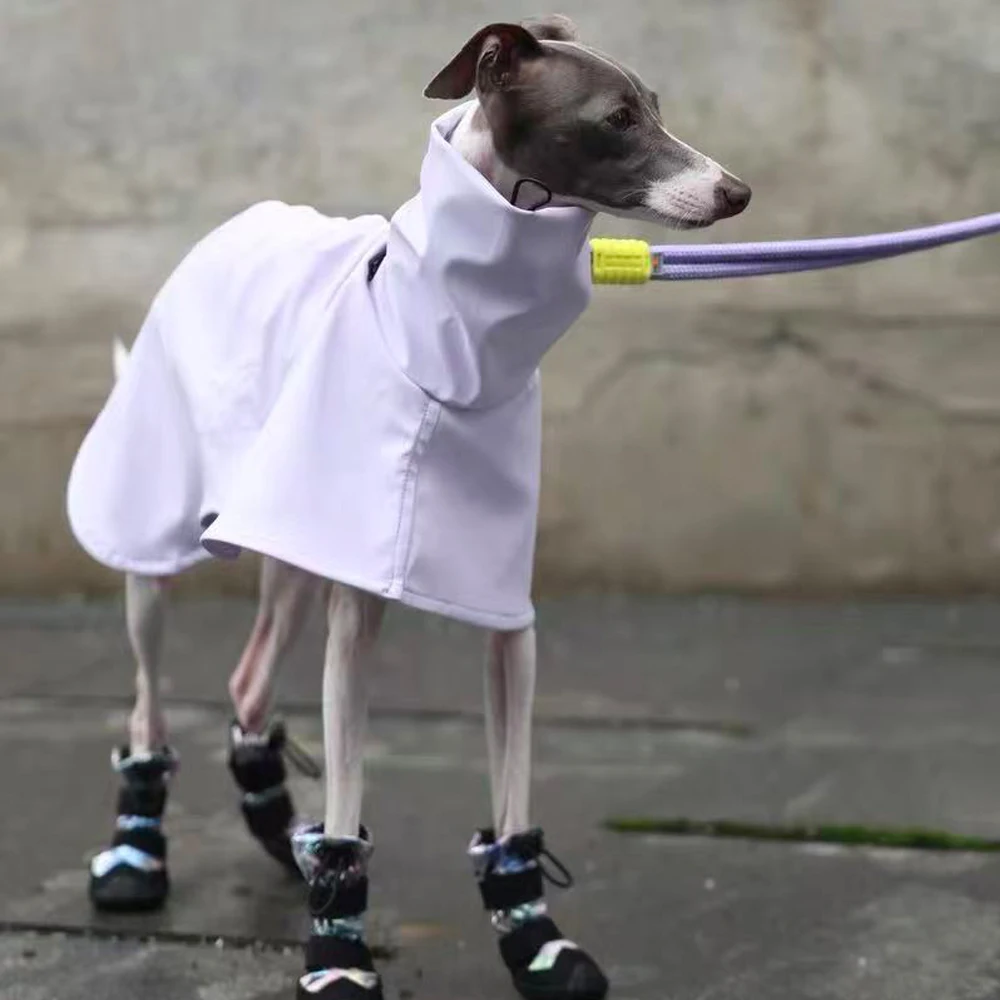 Perro descansando tras paseo con la capa impermeable
