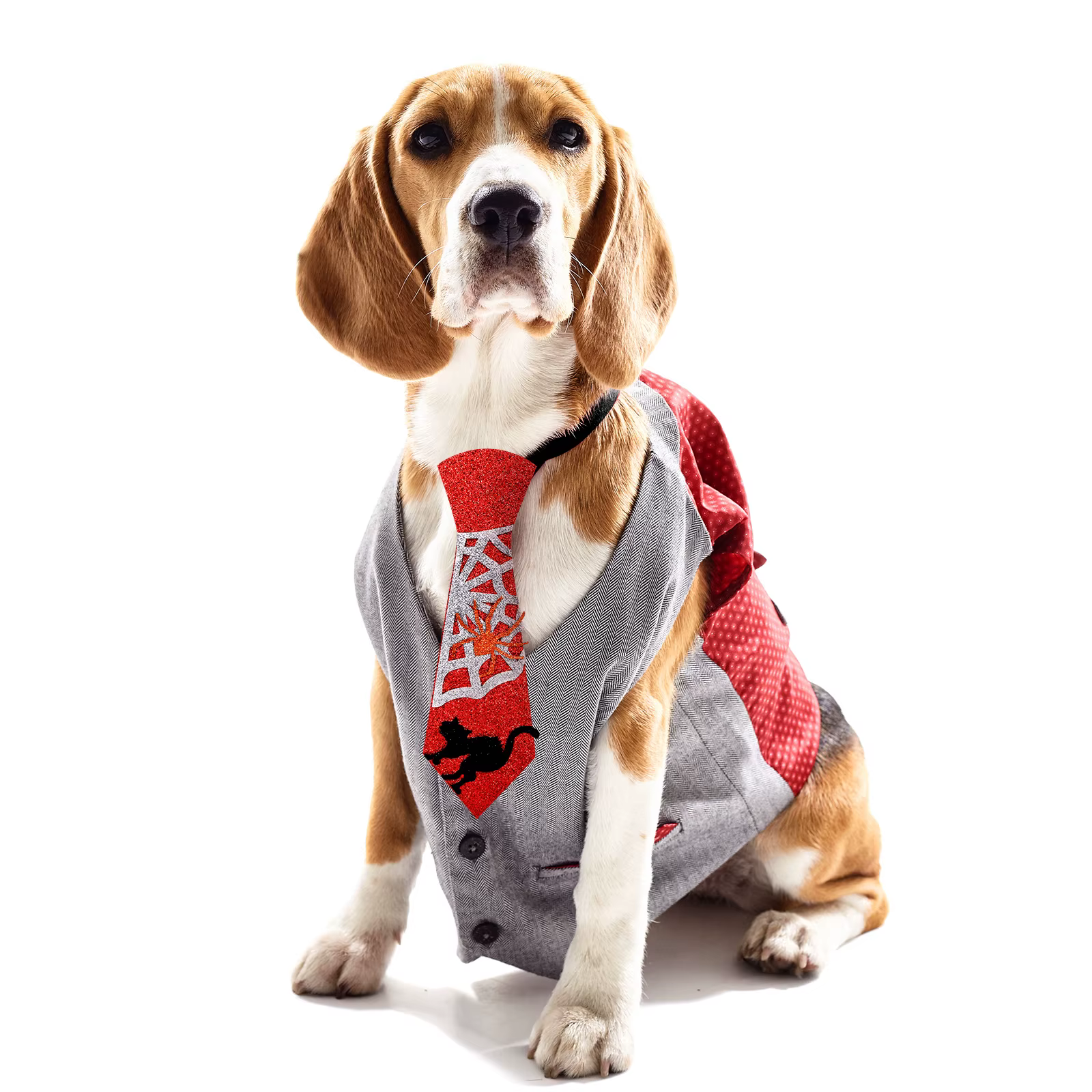 Corbata ajustable para perro grande de Halloween con calabazas - imagen 3