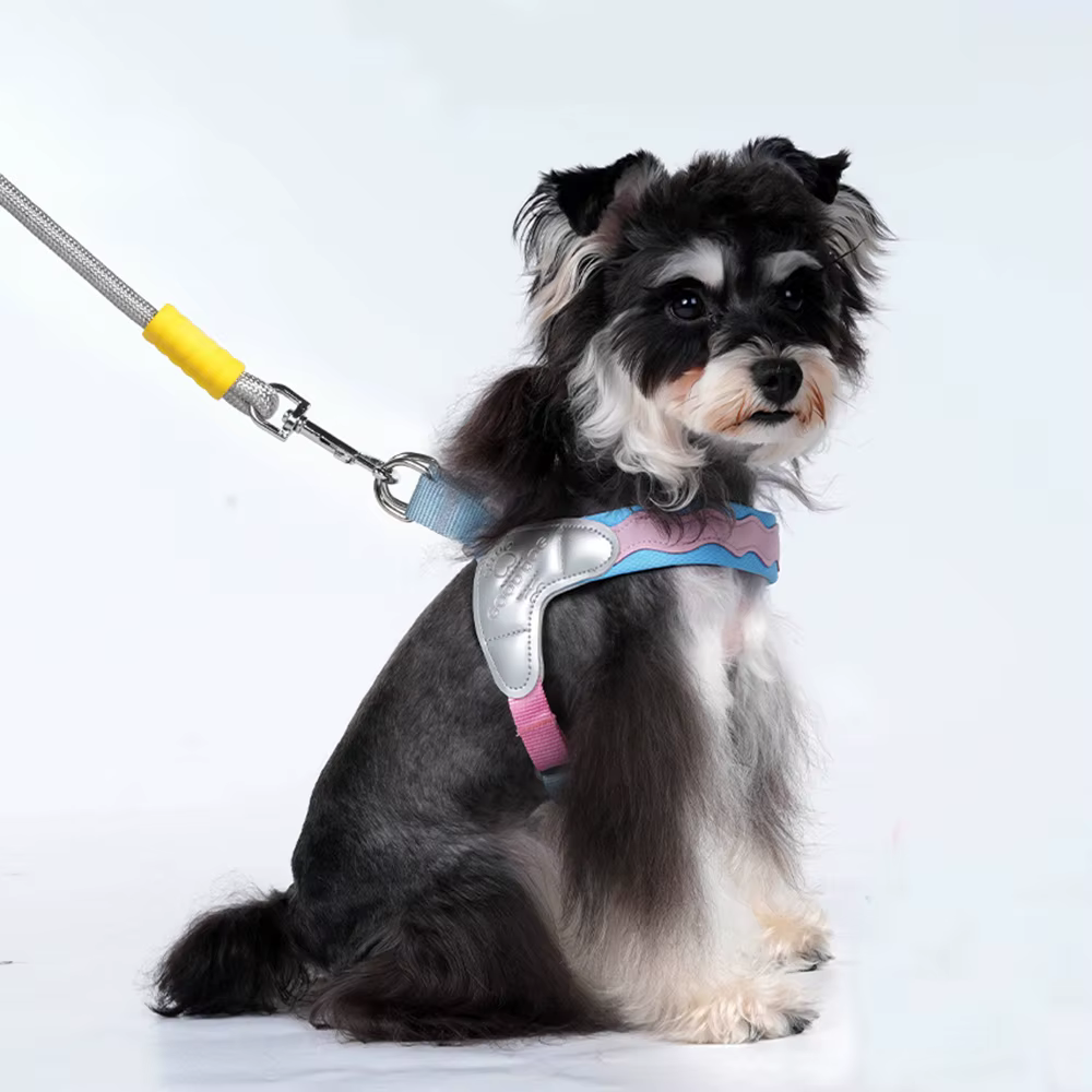 Arnés y Correa para Perros Pequeños – Paseo Ajustable para Yorkie y Schnauzer - imagen 4