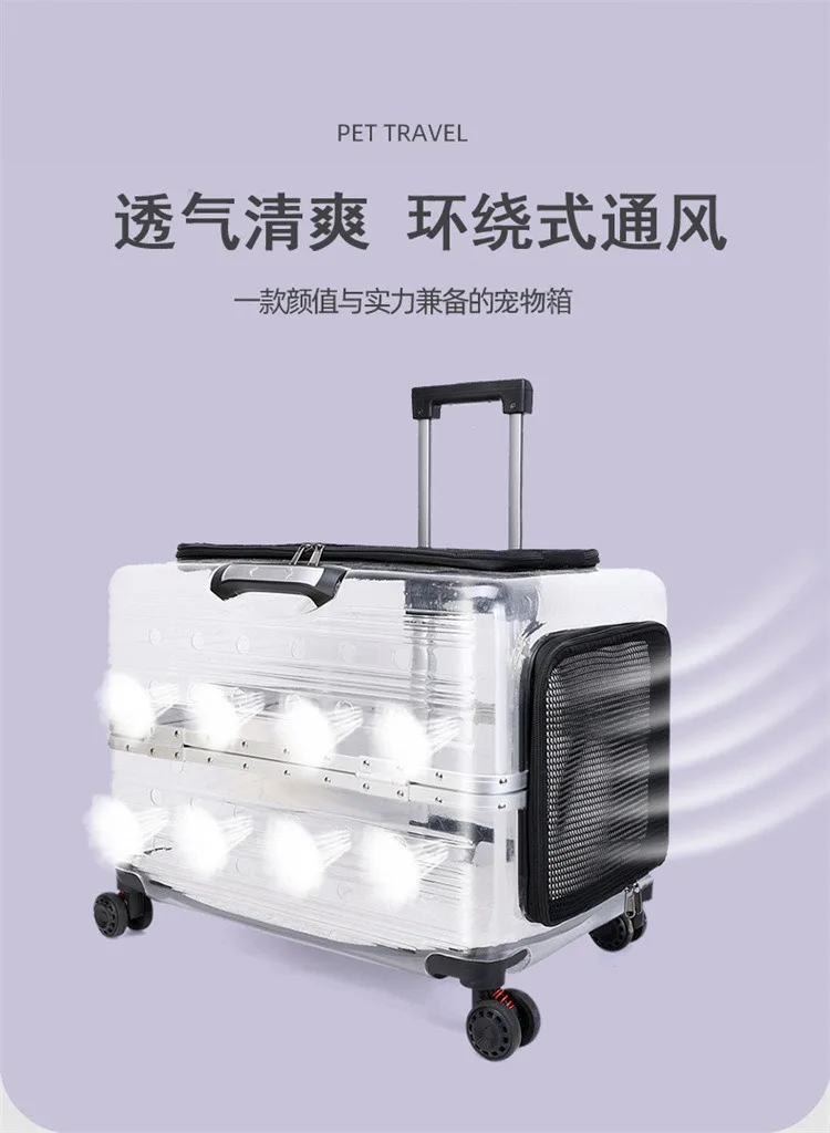 Bolsa transparente para gatos en transporte