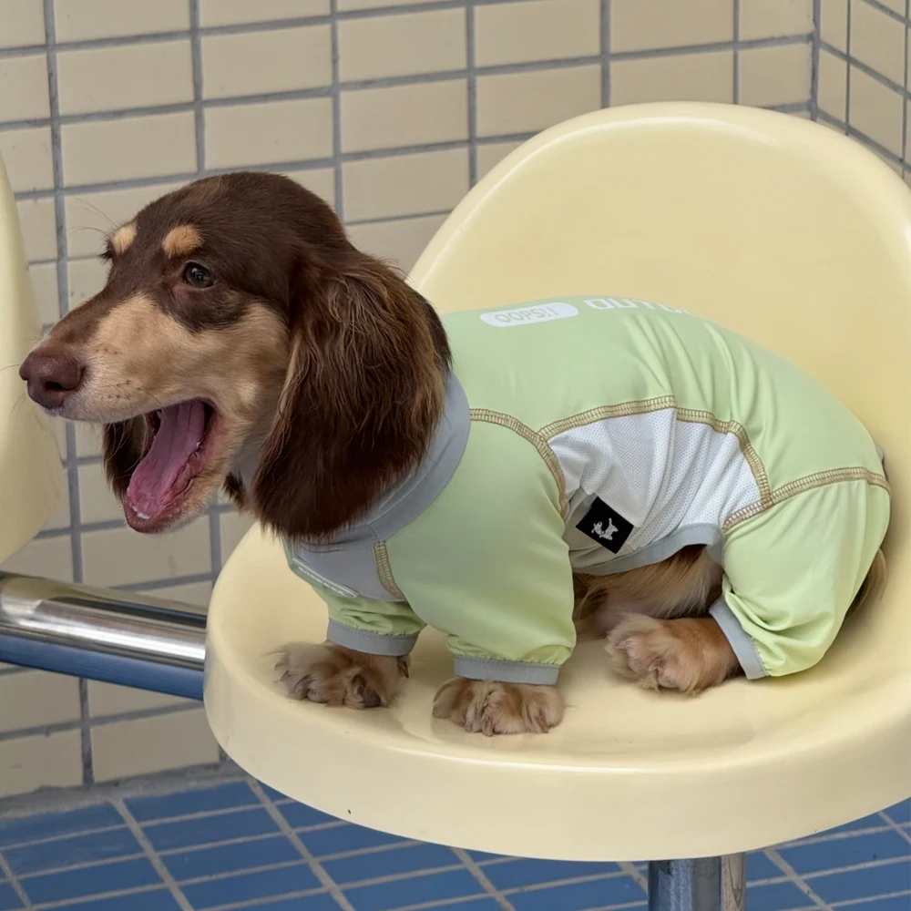 Traje de verano refrescante anti-insectos para Dachshund secado rápido - imagen 5