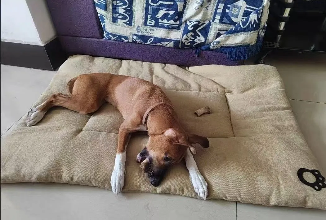 Cama en uso diario