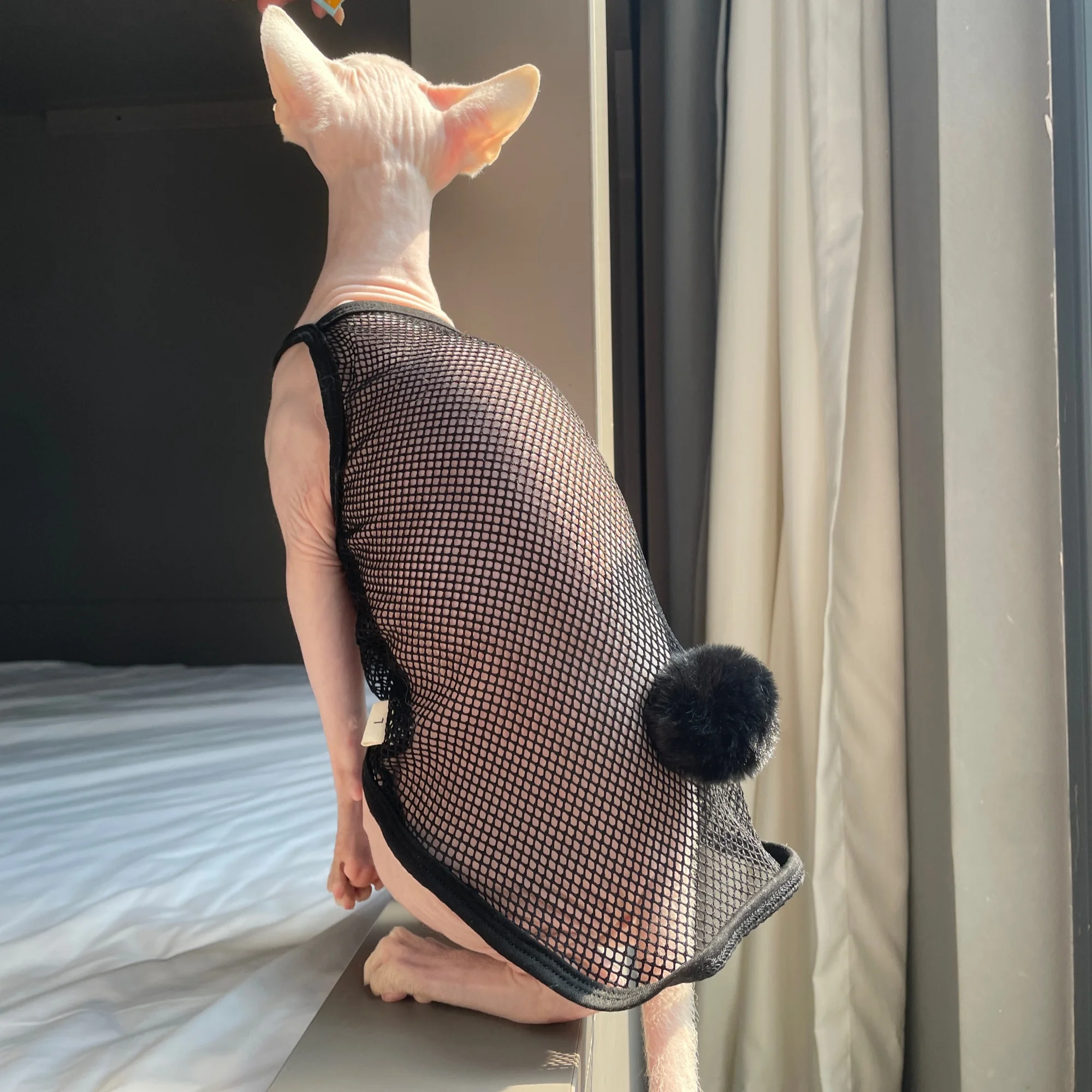 Disfraz de gato salvaje sexy para cosplay Sphynx, camisola de malla - imagen 3