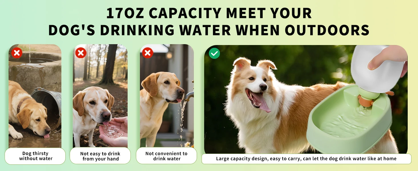 Botella de agua portátil para mascotas