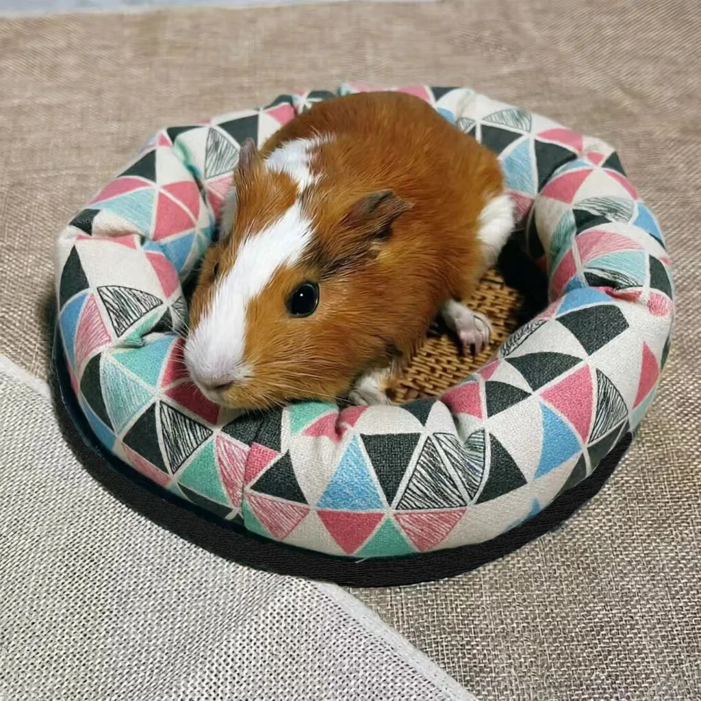 Cama de descanso de verano