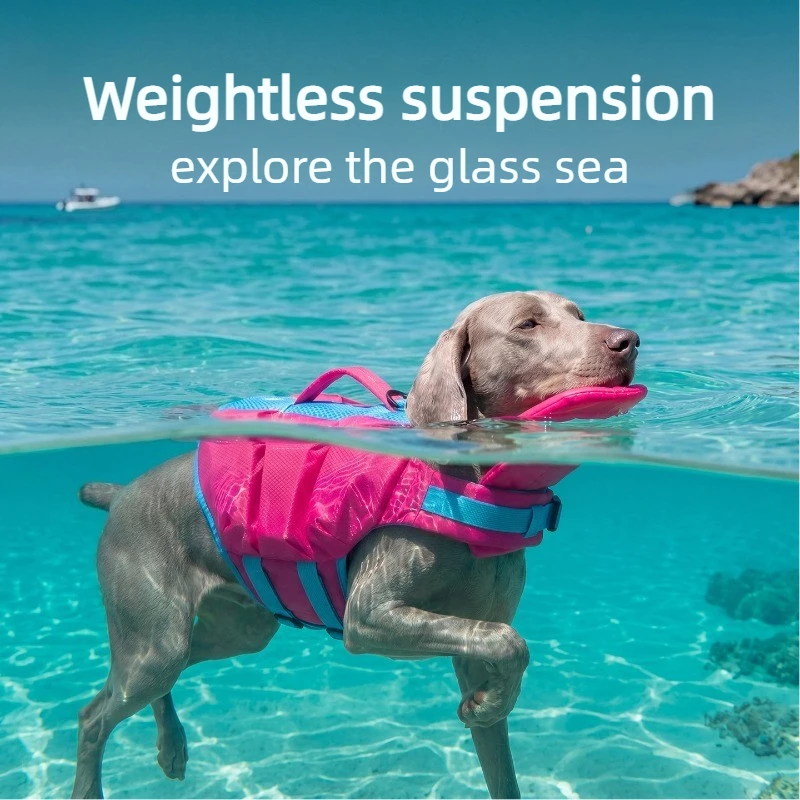 Chaleco salvavidas para perros – Flotador ajustable para playa y natación - imagen 3