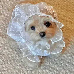 Vestido de princesa de encaje para perros pequeños y gatos