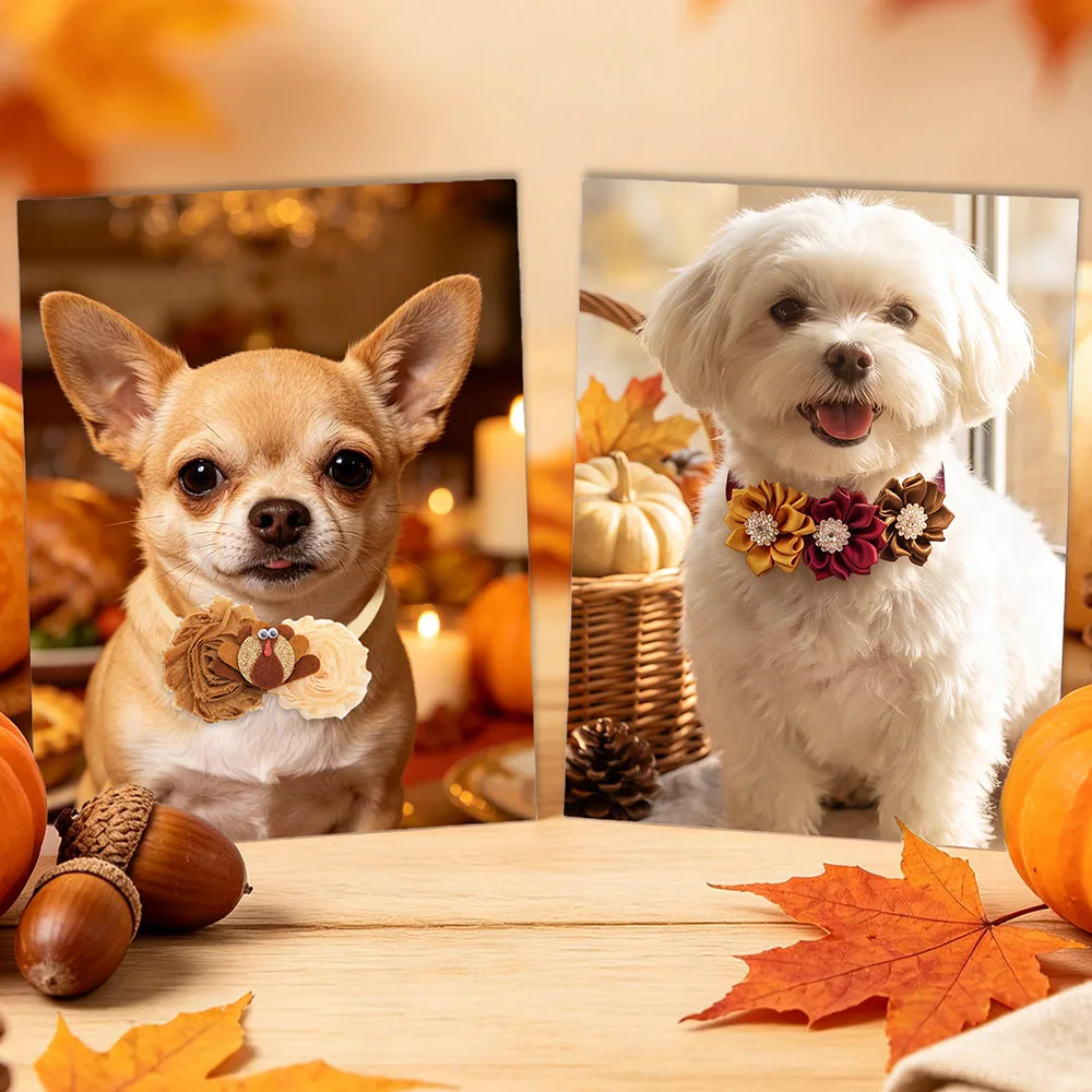 Lazos Ajustables para Collares de Perros y Gatos - imagen 5