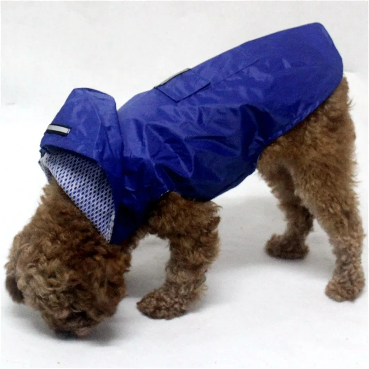 impermeable para perros con detalle de cierre