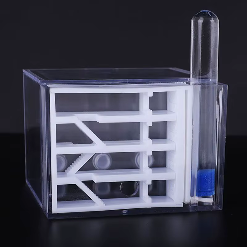Formicario Ants Kingdom – Caja de observación de hormigas educativa - imagen 5